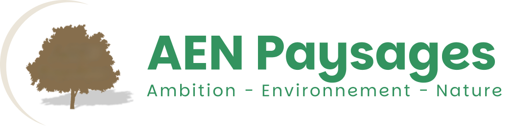 logo-aen-couleur