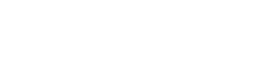 logo-aen