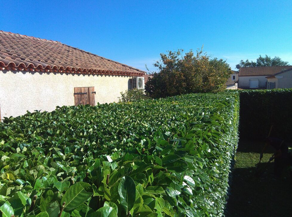 Jardin entretenu près de Vic-le-Fesq
