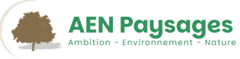 logo-aen-couleur